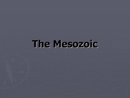 The Mesozoic - This Old Earth