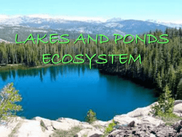 LAKES AND PONDS ECOSYSTEM