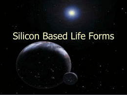 Silicon Based Life Forms