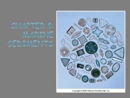 Chapter 4: Marine sediments