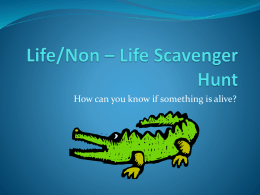 Life/Non – Life Scavenger Hunt