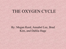 THE OXYGEN CYCLE