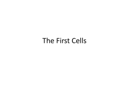 First cells ppt The first cells ppt