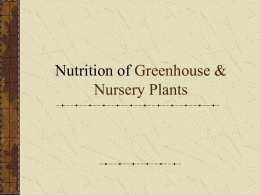 Fertilizing Greenhouse & Nursery Plants