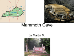 Mammoth_Cave