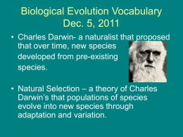 Geologic Evolution Vocabulary
