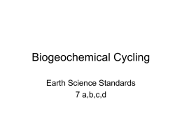 Biogeochemical Cycling