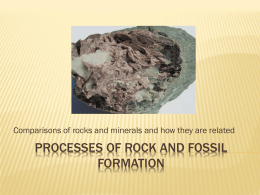 Processes of rock and fossil formation