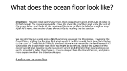 What does the ocean floor look likex