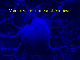 Learning, Memory and Amnesia