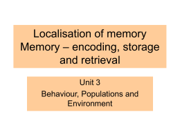 Ch-28-+-29-Localisation-of-Memory-+