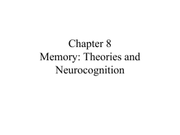Chapter 8 Memory: Theories and Neurocognition