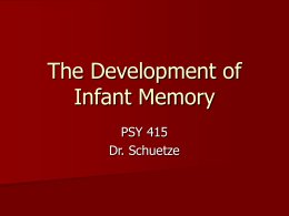 The Development of Infant Memory
