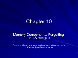 Chapter 10. Memory Conponenet, Forgetting and Strategies
