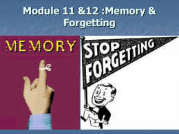 Module 11 & 12 Memory, Remembering, & Forgetting
