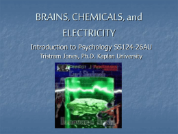 BRAINS, CHEMICALS, and ELECTRICITY