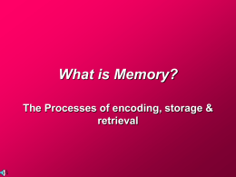 What is Memory PP for wiki mostly finished