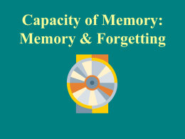Capacity of Memory: Memory & Forgetting