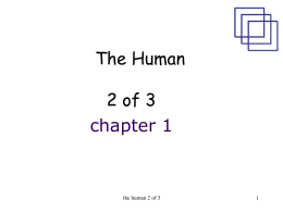 Lecture 3 - the human 2