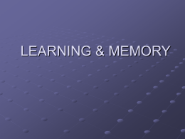 LEARNING & MEMORY