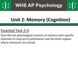 2-3-physiology_of_memory