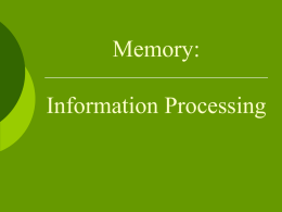 Memory – Information Processing