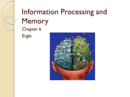 Ch 6- Memory and Cognitive Processingx