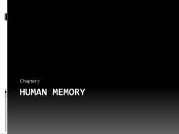 Human Memory - haltlipsych