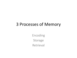3 Processes of Memory Power Point