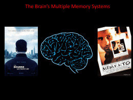 Memory Systems - The Ramirez Group