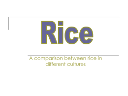 How is rice grown?