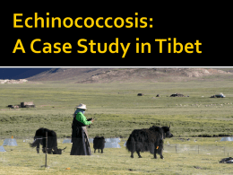 Echinococcosis: A Case Study in Tibet Tibetan Culture