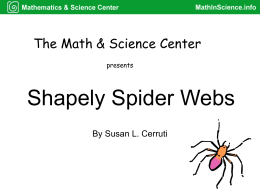 Shapely Spider Webs - MathinScience.info