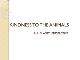 KINDNESS TO THE ANIMALS
