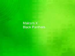 Malcolm X and Black Panthers