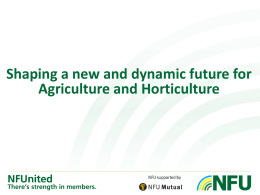 Agriculture and Horticulture outside the EU Policy options