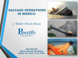 Walter Pinedo R - American Salvage Association