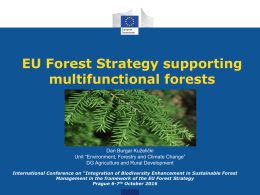 EU Forest Strategy supporting multifunctional forests