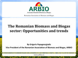 The Romanian Biomass and Biogas sector