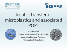 Trophic transfer of microplastics and associated POPs