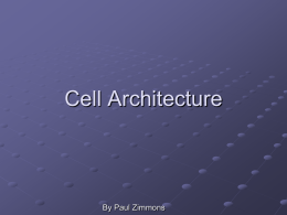 CELL Architecture - Cursuri Automatica si Calculatoare
