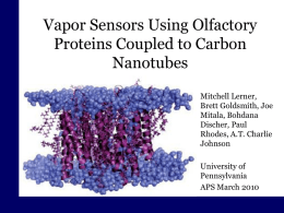 Vapor Sensors Using Olfactory Proteins Coupled to Carbon
