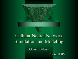 Cellular Neural Network Simulation and Modeling