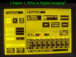 Digital: Chapter One