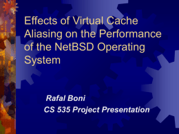 Effects of Virtual Cache Aliasing on the Performance of the NetBSD
