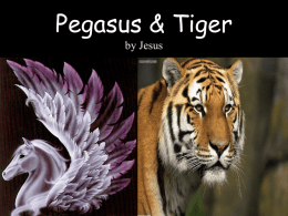 Pegasus & Tiger by, Jesus Frias
