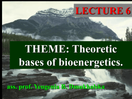 06. Theoretic bases of bioenergetics