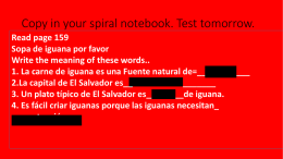 Page 171 write the Spanish and the English of all the vocabulary