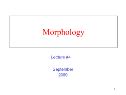 Morphology - University of Delaware