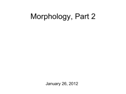 General Morphology Thoughts